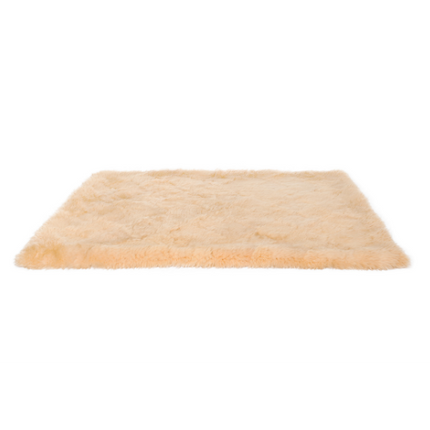 Collection image for: Paspas