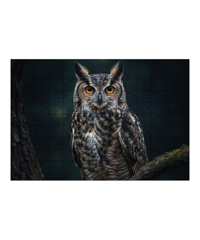 Baykuş Puzzle Yapboz 99 Parça