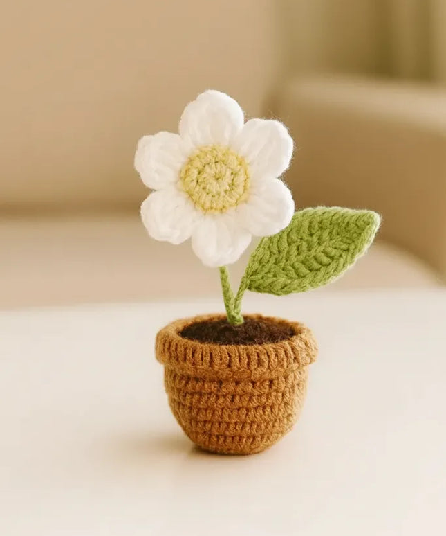 Beyaz Papatya Motifli Amigurumi Saksı Bitki Dekorasyon